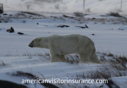 travel insurance usa to Canada